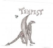 Tempest_004.jpg