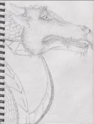 dragon-drawn_scales.jpg