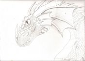dragon_052.jpg